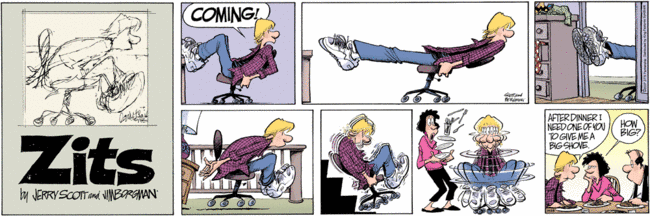07-10-28 Zits